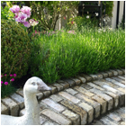 Canal Garden